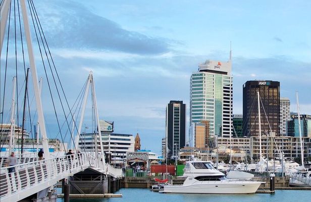 3.5 hour Sunset Tour on Waiheke Island