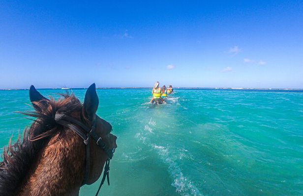 Horseback Riding and River Tubing Combo from Montego Bay