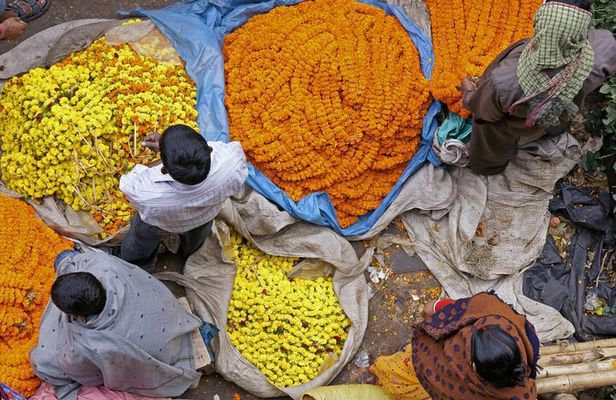 Half Day Tour to the Flower Market and Howrah Bridge in Kolkata