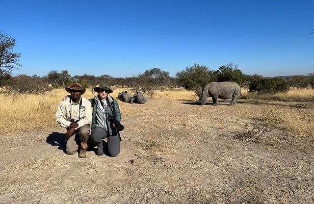 Matobo Rhino Encounter