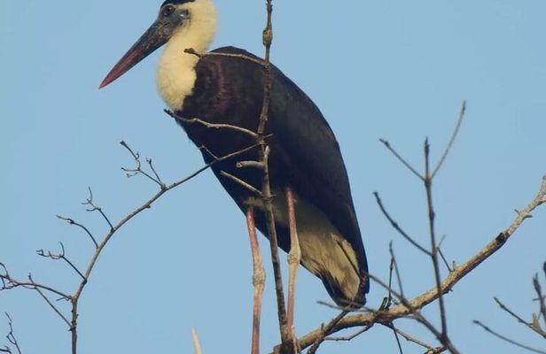 3-Day Ujung Kulon National Park Private Guided Tour