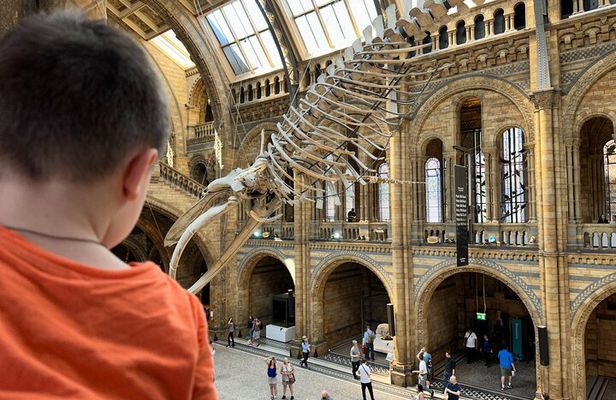 Kid-Friendly Natural History Museum & Dinosaurs Private Guided Tour in London