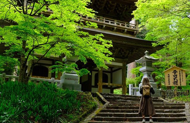 Forest Bathing in Temple and Enjoy onsen with healing power