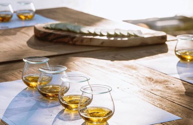 Olive Oil, Cheese, and Wine Tasting with Local Expert