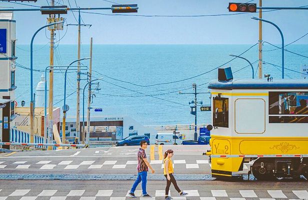 Full-Day Tour Unmissable things to do in Busan