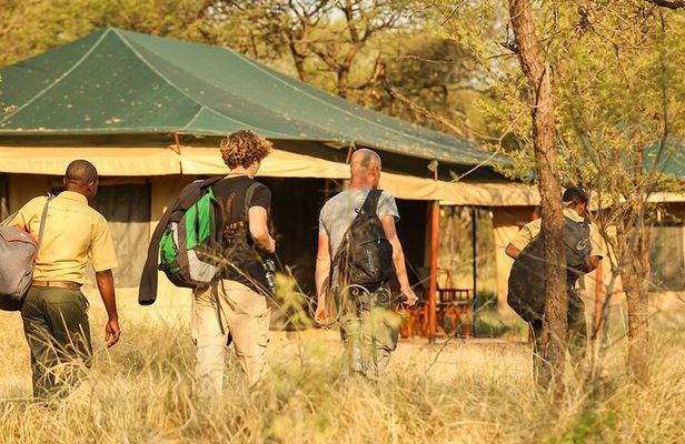 5-Day Private Safari Tour in Tanzania's Wildlife