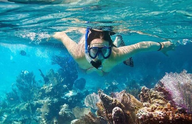 Cham Island Tour Snorkeling -Sunbathing - Nice Beach - Speedboat