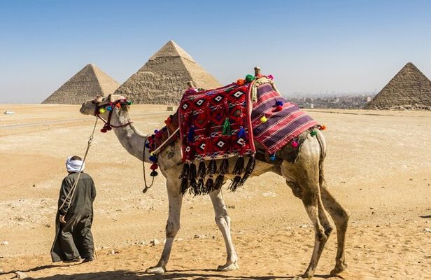 7 Hour Private Tour in Pyramids of Giza and The Egyptian Museum