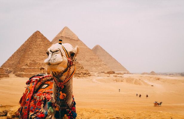 6 Hour Private Tour in Giza Pyramids, Citadel and Coptic Cairo