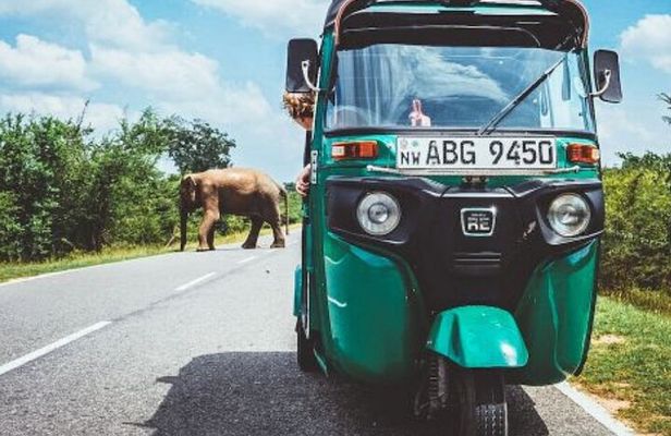 Sigiriya and Dambulla Private Day Tour by Tuk-Tuk or Car