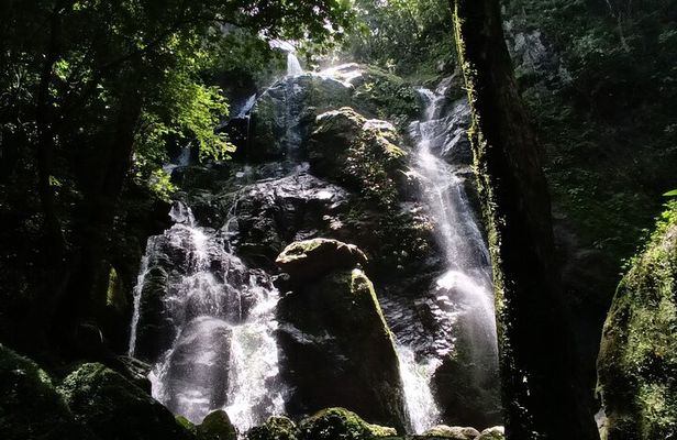 Full-Day Wild Trekk in Panama, Eco Adventure & Culinary Delights