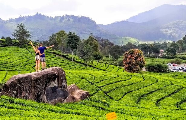 Private Car Charter From Bandung