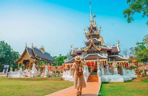 Chiang Mai Mon Jam Highlands and Pongyang Full-Day Private Tour
