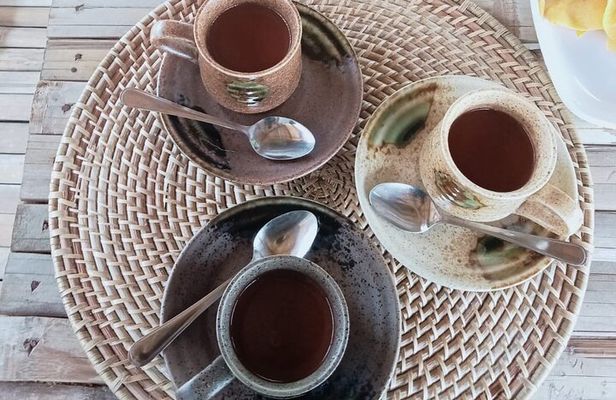 Bohol Chocolate Farm and Chocolate Hills Private Tour