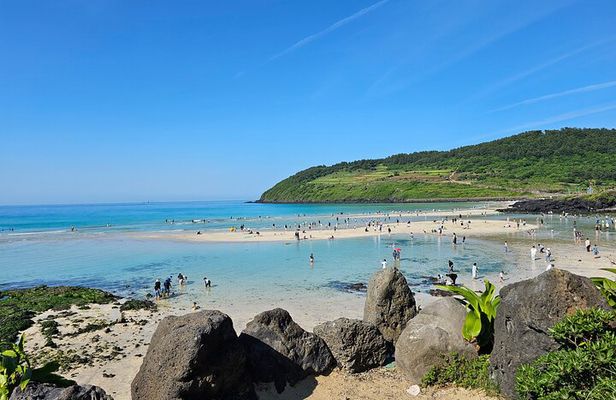 Small group Jeju private Full-Day Tour of East and South and West