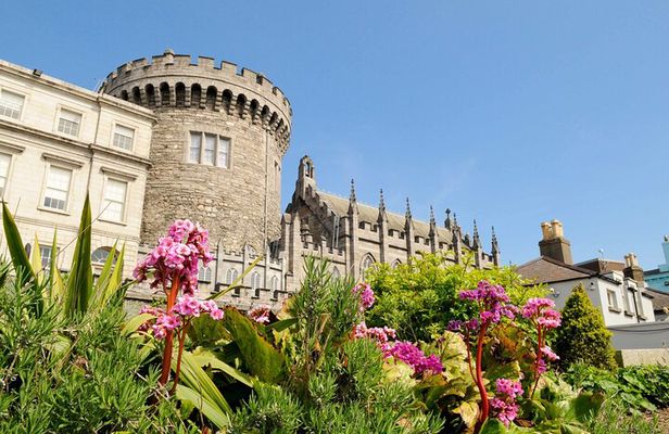Dublin Private Tour with Skip-the-line Dublin Castle Tickets