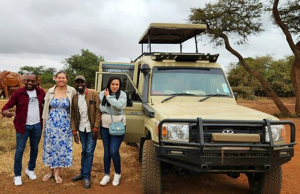 Half-Day Nairobi National Park Private Tour with admission