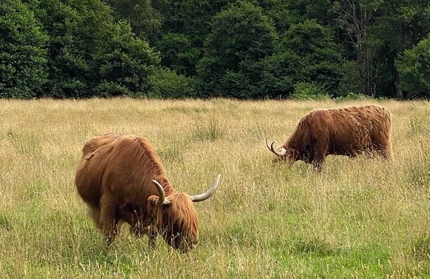 Private Day trip to Loch Ness and Scottish Highlands via Glencoe