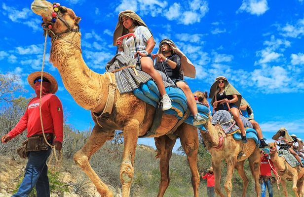 Wild Canyon Full Day Pass in Cabo