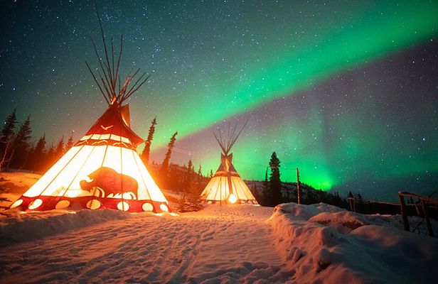 Arctic Day: Aurora Viewing Tour | late night