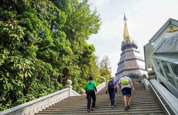 Chiang Mai: Doi Inthanon, Twin Pagodas & Waterfalls Tour