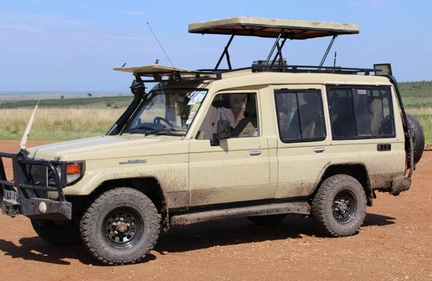3 Days 2 Nights Maasai Mara Group Tour with 4x4 Jeep