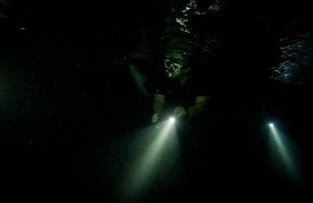 Night Snorkeling Adventure