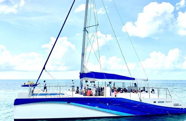 Isla Contoy Incredible Tour! Round Transportation From Cancun & Playa Del Carmen