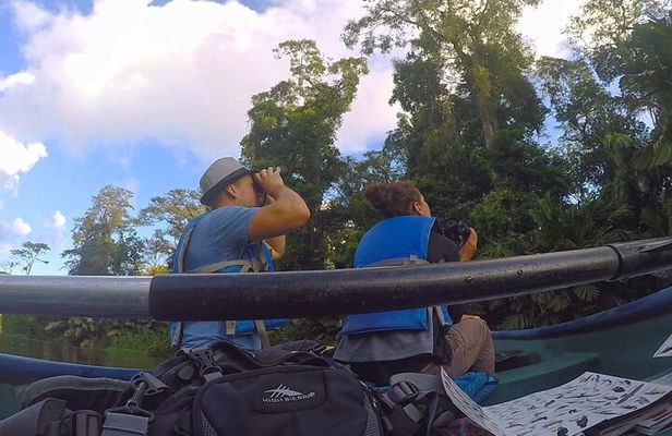 Half-Day / Canoe and Hike in to Tortuguero National Park