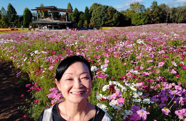 3 Day Japan Highlights Tour Tokyo to Osaka with English Guide