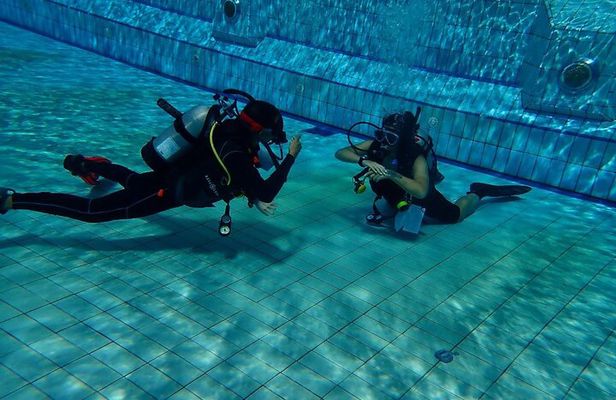 Shared Experience PADI Open Water Diver Course Gold