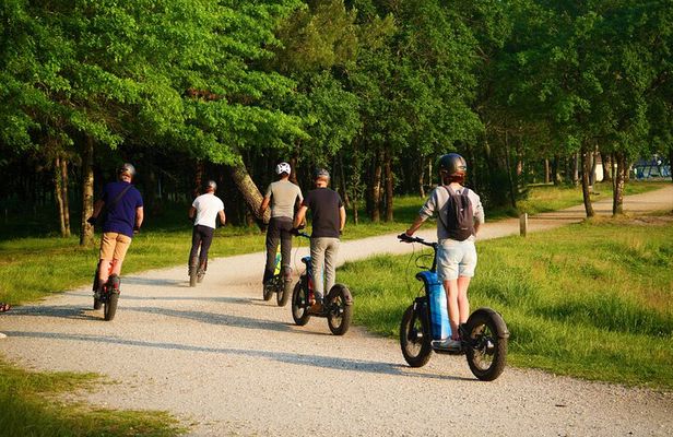 Off-road scooter outing between lakes and Pessac-Léognan vineyards