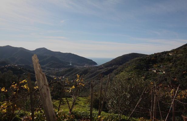 Lievàntu Wine Experience