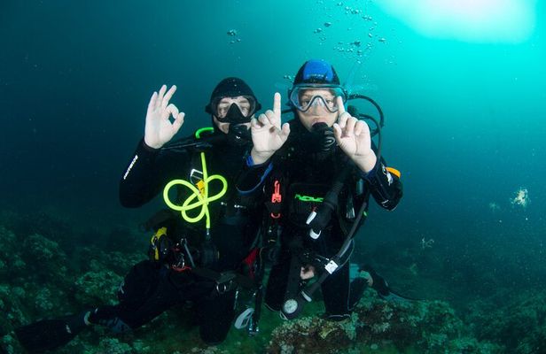 Discover Scuba Diving PADI - Trial dive in Sorrento