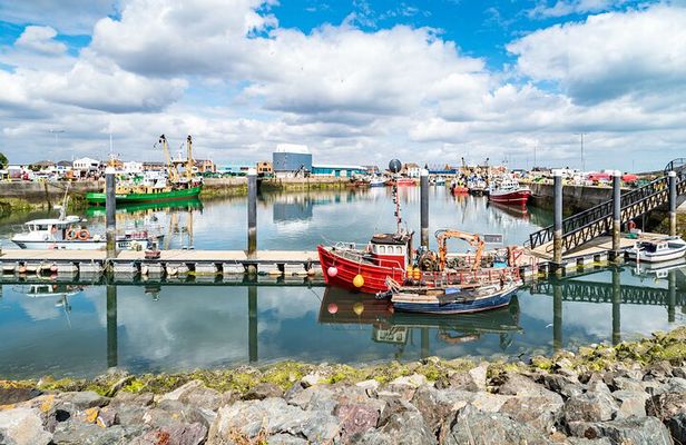 Dublin Great Famine Tour with Fast-Track EPIC Museum Tickets