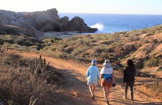 Sunrise Guided Desert Hike in Los Cabos