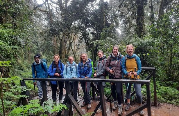 Mount Kilimanjaro Day Hike Through Marangu Route to Mandara Hut