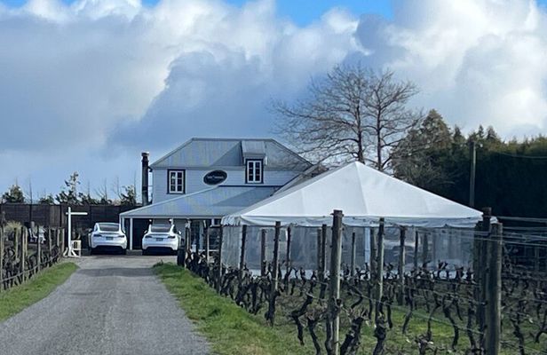 Martinborough Private Food and Wine Tour in Tesla SUV