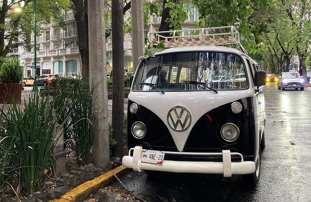 Mexico City PRIVATE Lucha Libre, mezcal & Tacos on a 1975 VW Bus