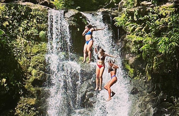 The best half day of your life! Luxury Road to Hana private tour