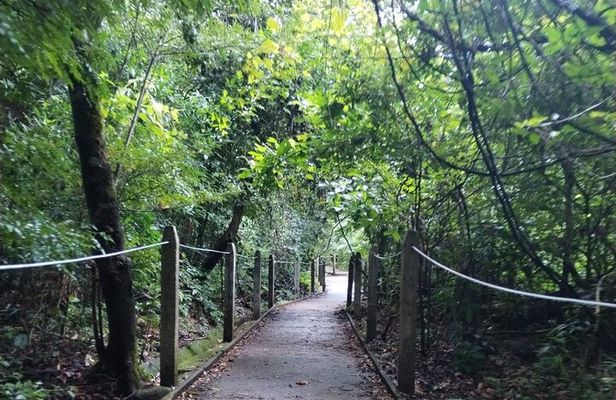 Half Day Private Hike in Rincon de la Vieja National Park