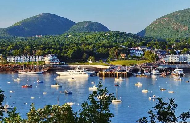 Best of Bar Harbor: 2-Hour Guided Food Walking Tour