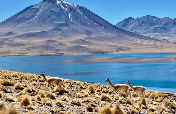 Private Tour: Piedras Rojas, in San Pedro de Atacama