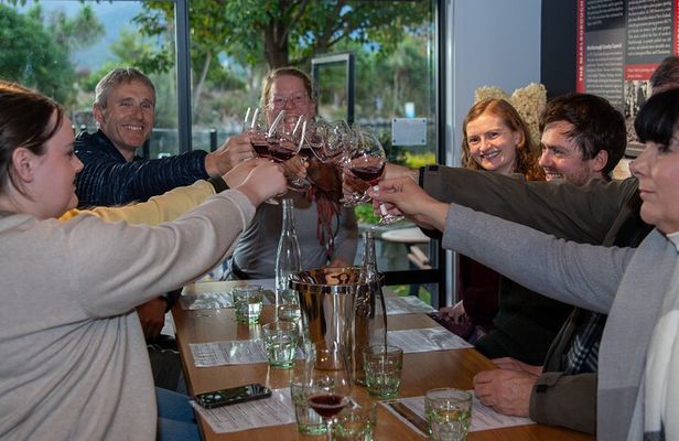 Full-Day Marlborough Wine Tour Including Wine Tasting 