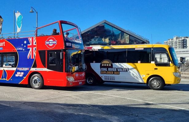 Richmond Village & Red Decker hop-on hop-off
