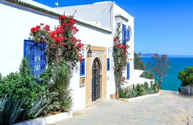 Ancient Carthage and Sidi Bou Said Half Day Tour with Lunch
