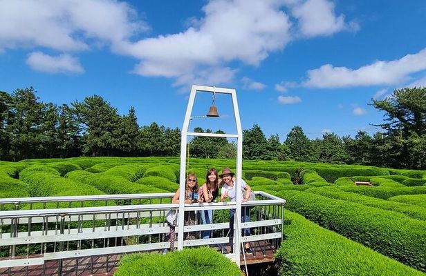 2-days Private Taxi Tour in Jeju Island