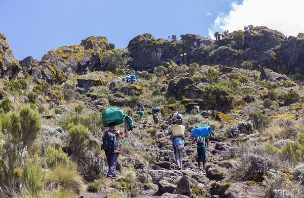 7 Days Mountain Kilimanjaro Hike Marangu Route