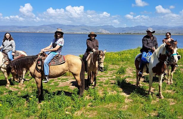 Adventure Delight The Ultimate Combo Ride at Desert Trails