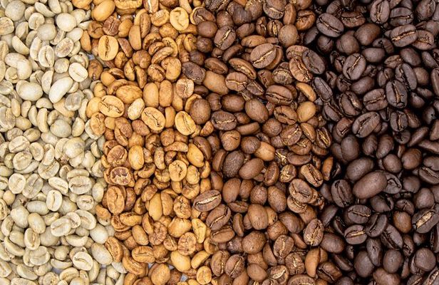 Coffee Plantation Visit and Tasting Activity in Costa Rica